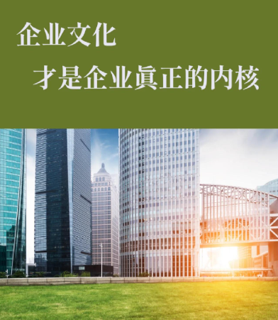 深圳极米网络科技定制软件开发服务：企业级软件项目全流程实施解析